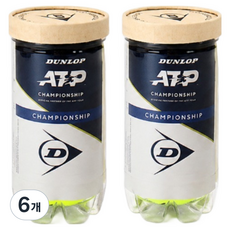 던롭 ATP 챔피언쉽 시합구 2p, 옐로우, 6개