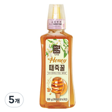 녹차원 국내산 때죽꿀, 500g, 5개