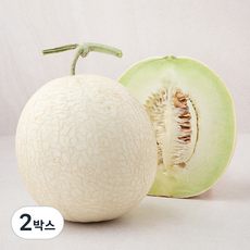 산지직송 좋은하루 하니원 메론, 1.3kg, 2박스