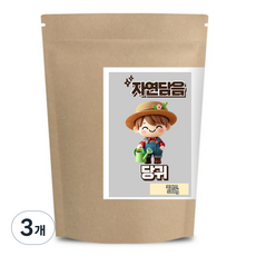 자연담음 당귀 국내산, 500g, 3개