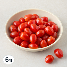 한반도 모닐 토마토, 6개, 500g