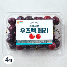 프레시몬 우즈베키스탄산 체리, 400g, 4개