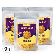 뉴트리디데이 루피니빈, 300g, 9개