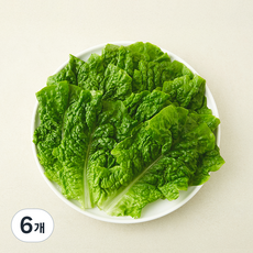 친환경 한끼 청상추, 6개, 80g