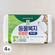 대림생 동물복지 인증 백색 유정란 780g, 4개, 15구