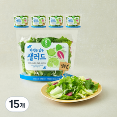 그린래빗 자연을 닮은 샐러드 실속C, 100g, 15개