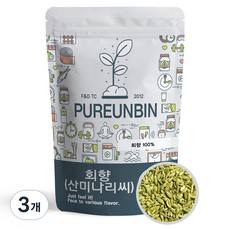 푸른빈 산미나리 씨앗 회향 펜넬, 500g, 3개