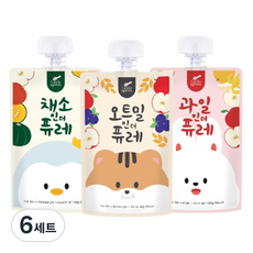 리틀스푼 과일 인더 퓨레 100g + 채소 인더 퓨레 100g + 오트밀 인더 퓨레 100g 세트, 6세트