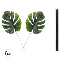 그린허그 디퓨저 리프 2p + 데코스틱 5p 세트, 07, 6개