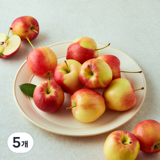 당찬 미니 사과, 5개, 800g