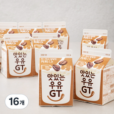 남양유업 맛있는우유 GT 커피, 300ml, 16개