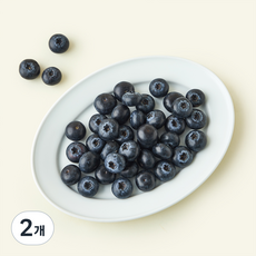 국내산 선셋 블루베리, 2개, 100g
