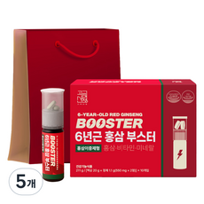 고려산청 6년근 홍삼부스터 10p + 쇼핑백, 5개, 211g