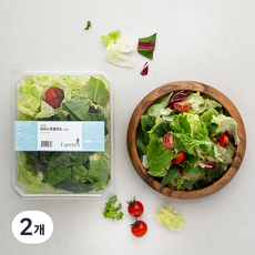 팜에이트 크리스피 샐러드, 300g, 2개