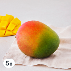 더로얄 브라질산 애플망고, 480g, 5봉