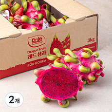 돌 레드용과, 3kg, 2개