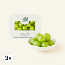 바로먹는 샤인머스켓, 500g, 3개