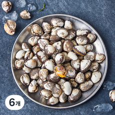 아라보감 산지직송 생물 새꼬막 (냉장), 6개, 1kg