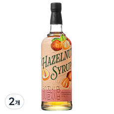 탐사 헤이즐넛시럽, 1L, 2개