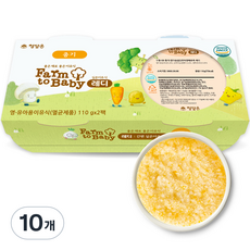 팜투베이비 레디 실온이유식 중기, 닭가슴살단호박양배추죽, 110g, 10개