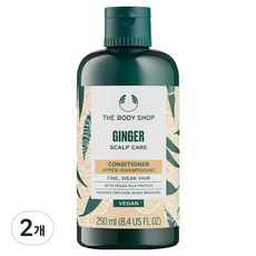 더바디샵 진저 스캘프 케어 컨디셔너, 250ml, 2개