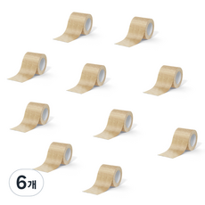 Daybyday 데이바이데이 밴드 5cm x 4.5m 스킨, 6개, 10개입