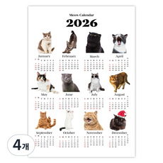 2026年 大型感性單張壁掛月曆海報日曆 A3, 混合色, 4個