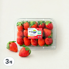 하동품애 GAP 설향 딸기, 500g(중과), 3개