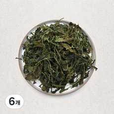 나물투데이 건취나물, 100g, 6개