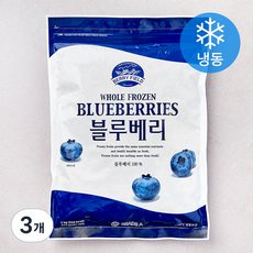 베리필드 칠레산 블루베리 (냉동), 3개, 1kg