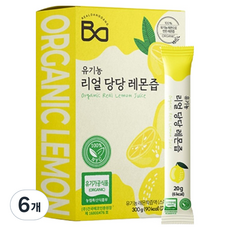 Realdangdang 檸檬汁隨身包 15條入, 6個, 300g