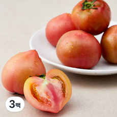 곰곰 친환경 대저 짭짤이 토마토, 500g, 3팩