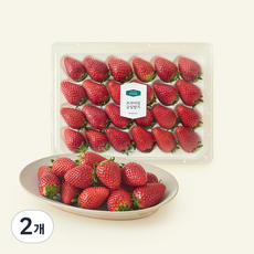 온브릭스 주식회사 농업회사법인 프리미엄 금실딸기, 2개, 750g