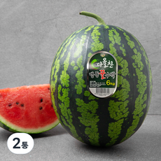 다올찬 맹동 꿀수박, 6kg 이상, 2개