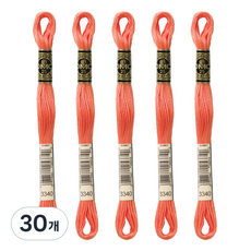 브랜드얀 DMC 자수실 25번사, 3340번, 30개