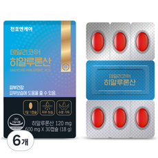 천호엔케어 데일리코어 히알루론산 18g, 30정, 6개