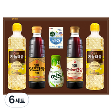 샘표 정성담은 A호 선물세트, 6세트