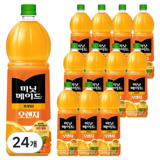 미닛메이드 프루티 오렌지, 1.5L, 24개