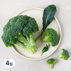 중국산 신선 브로콜리, 1개입, 4개