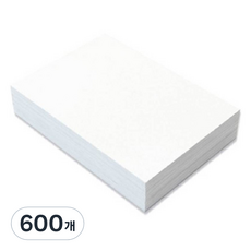 원진 스노우지 250g, B5, 600개