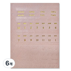 플레픽 올데이 레더 인덱스 스티커 스위트 핑크, 1개입, 6개