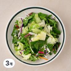 프레시 채소믹스, 500g, 3개