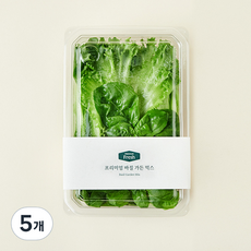 프리미엄 바질 가든 믹스, 100g, 1개입, 5개