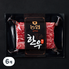 농협 한우 갈비살 1등급 구이용 (냉장), 6개, 200g