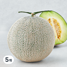 제이드가든 머스크메론, 1.8kg, 5개