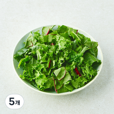 친환경 인증 그린믹스 샐러드, 150g, 5개, 1개입