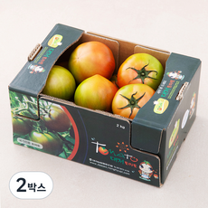다조은 대저 지리적 표시 인증 토마토, 2kg(L과), 2박스