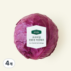 프리미엄 친환경 적양배추, 600g, 1개입, 4개