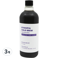 커피플랜트 에티오피아 타데 콜드브루 원액, 500ml, 3개, 1개입