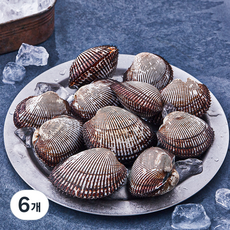 산지직송 부산 13번 중매인 피꼬막 (냉장), 500g, 6개